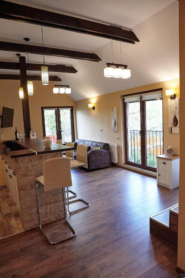 בראשוב Apartament Rozelor מראה חיצוני תמונה